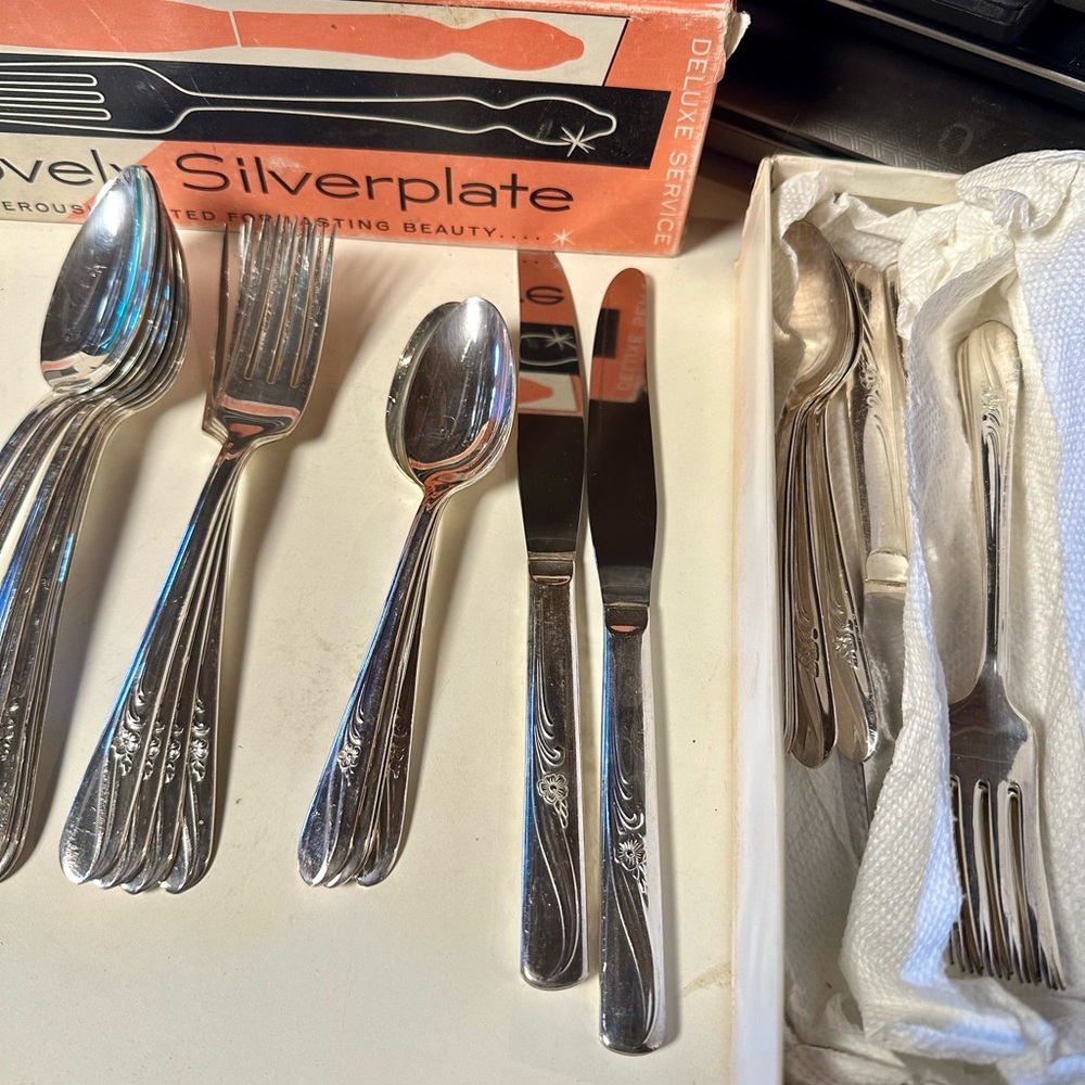 VTG. Lovely Silver-plate Meadow Flower Pattern Table Service for 8 -32 piece Set